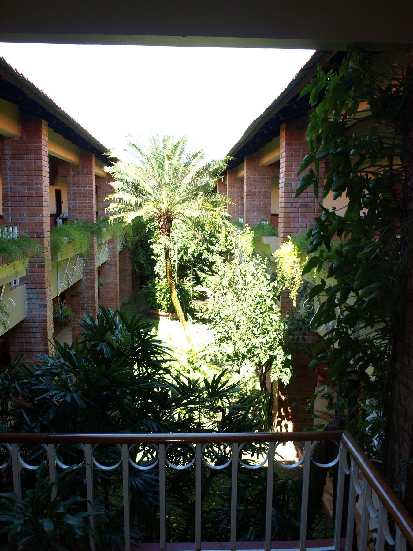 Hotel La Quinta La Ceiba Exteriér fotografie